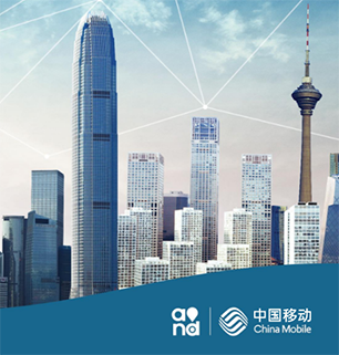 中国�U�d��案例